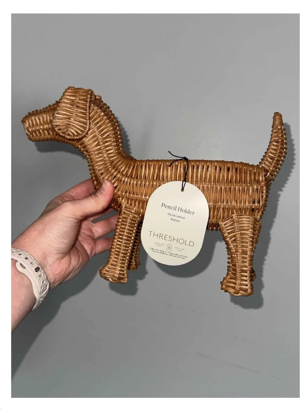 Rattan Dog Pencil Holder - Threshold
